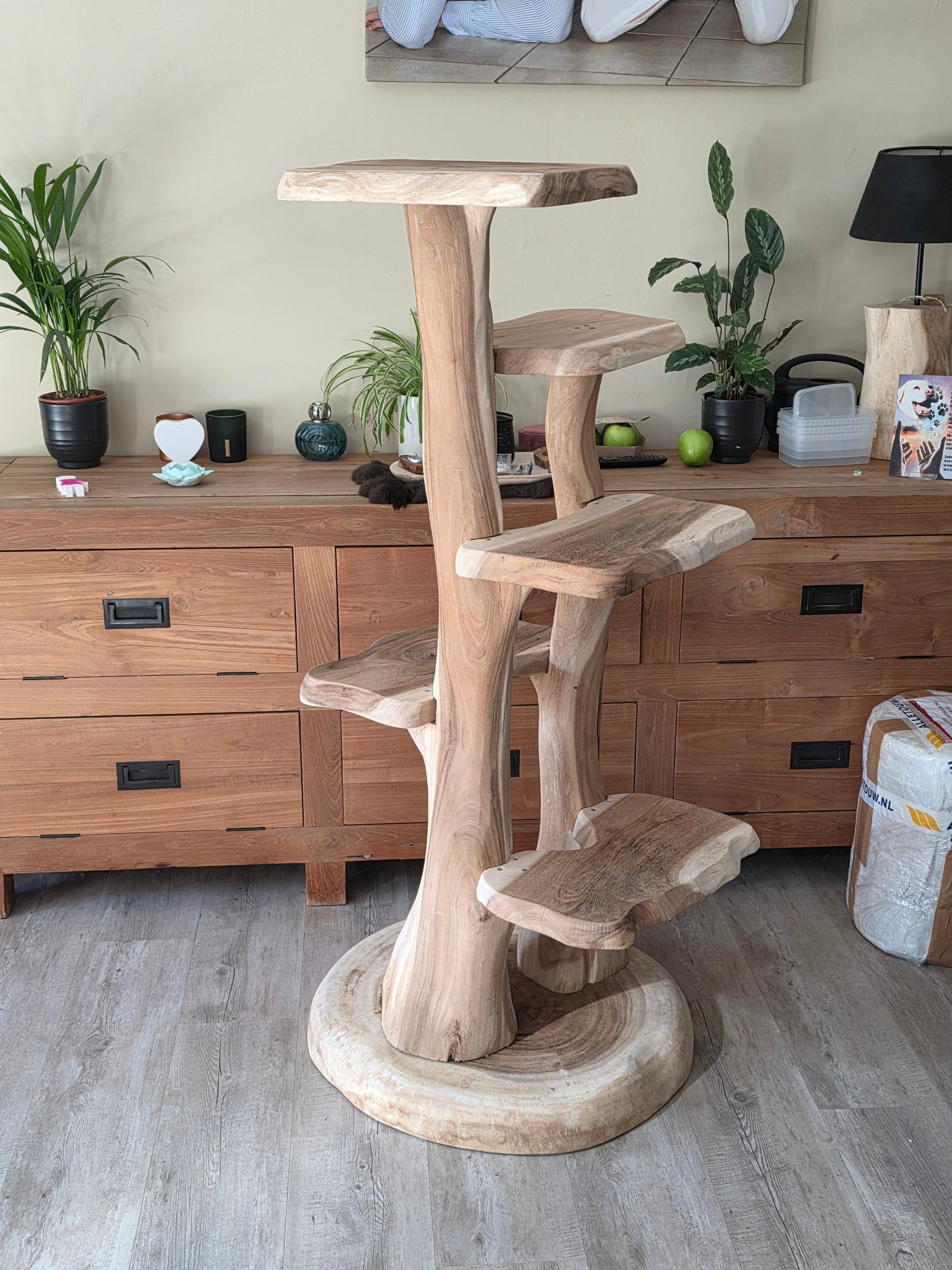 Houten krabpaal met dubbele stam en natuurlijk gevormde plateau's