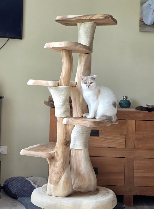 Waarom een houten krabpaal?