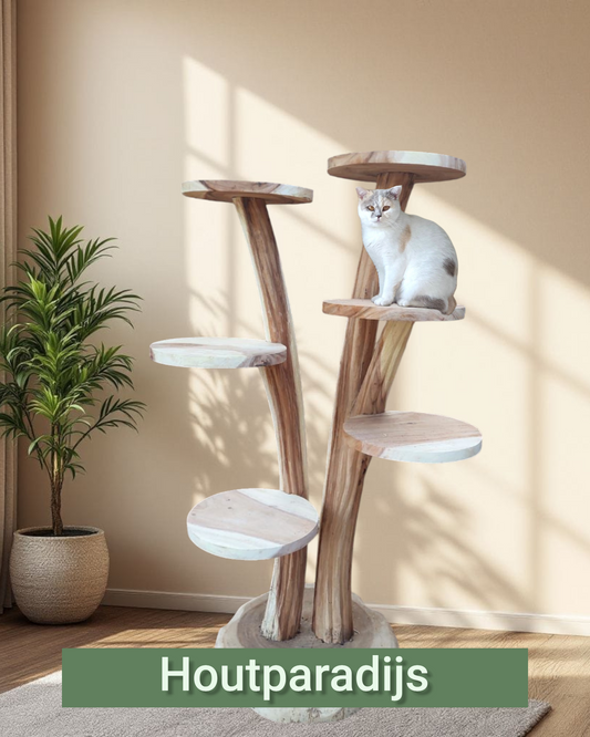 Houten krabpaal  Tony 165cm hoog met 2 stammen met reliëf 6 plateau's en een witte kat