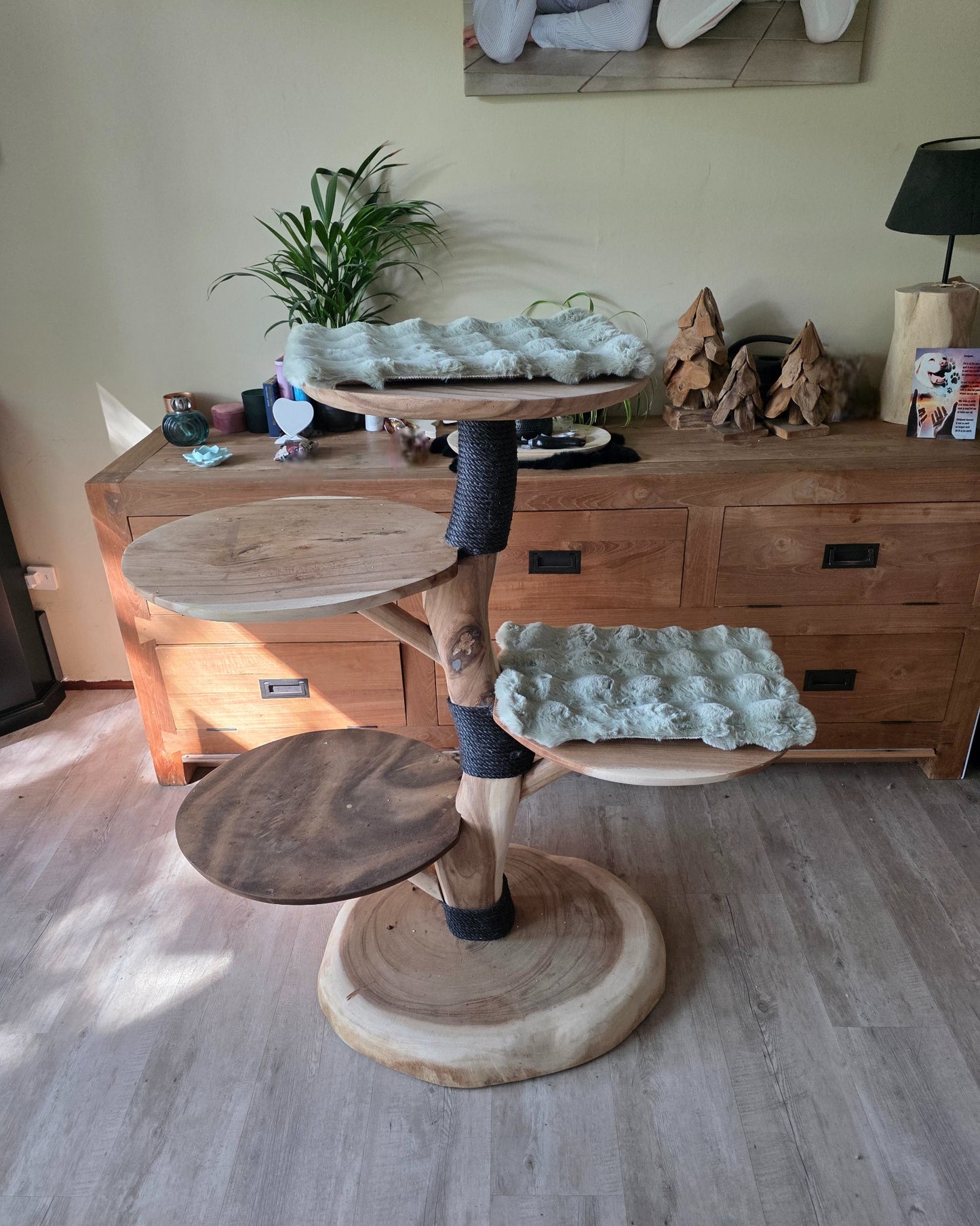 Zacht groen Krabpaal Kussen 50x35cm - Luxe Comfort met Antislip Onderkant