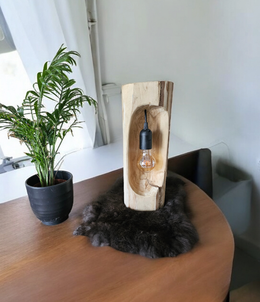 handgemaakte lamp van een houten stam op een kleedje naast een plant