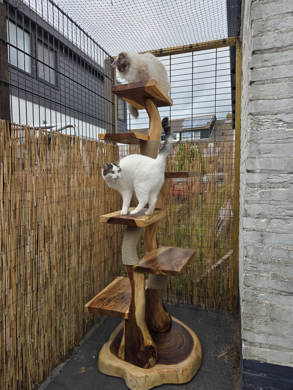 Lewis 180cm met een oliebehandeling voor buiten en 3 henneptouw krabplekken voor buiten.