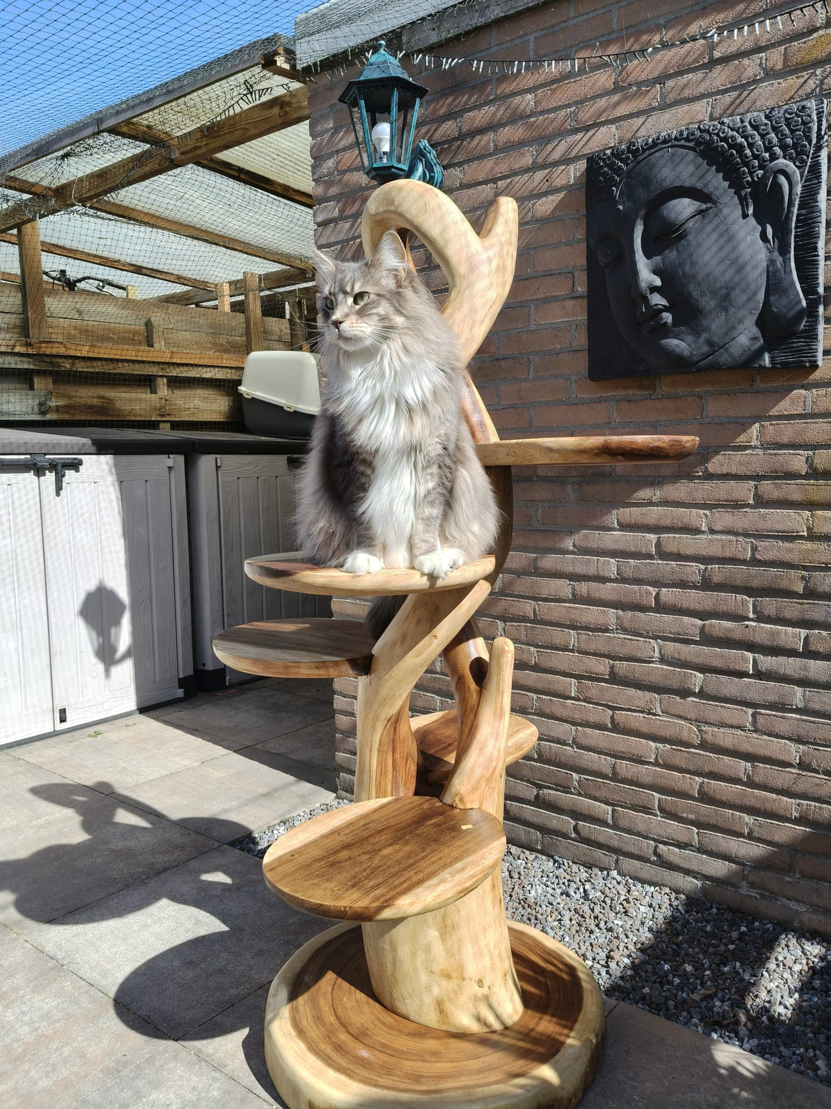 Farah 180cm met een oliebehandeling voor buiten.