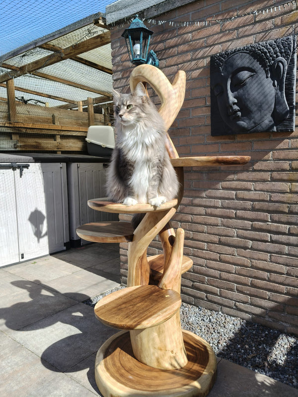 Farah 180cm met een oliebehandeling voor buiten.