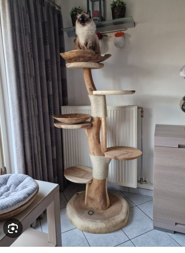 Kate 150cm met 2 naturel sisalplekken en 2 teakhouten schalen