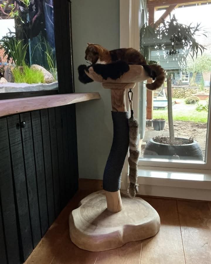 Krabstam Xena met bruin sisal, een teakhouten schaal en een lang konijnenvachtspeeltje